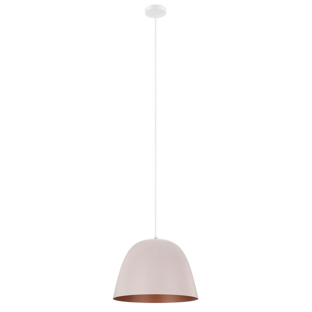 1L Pendant Light / Luminaire suspendu 1L