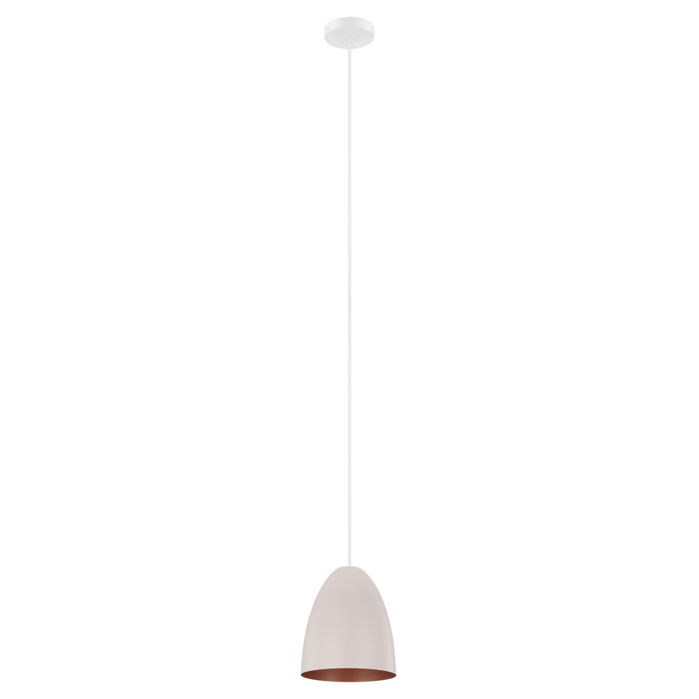 1L Pendant Light / Luminaire suspendu 1L