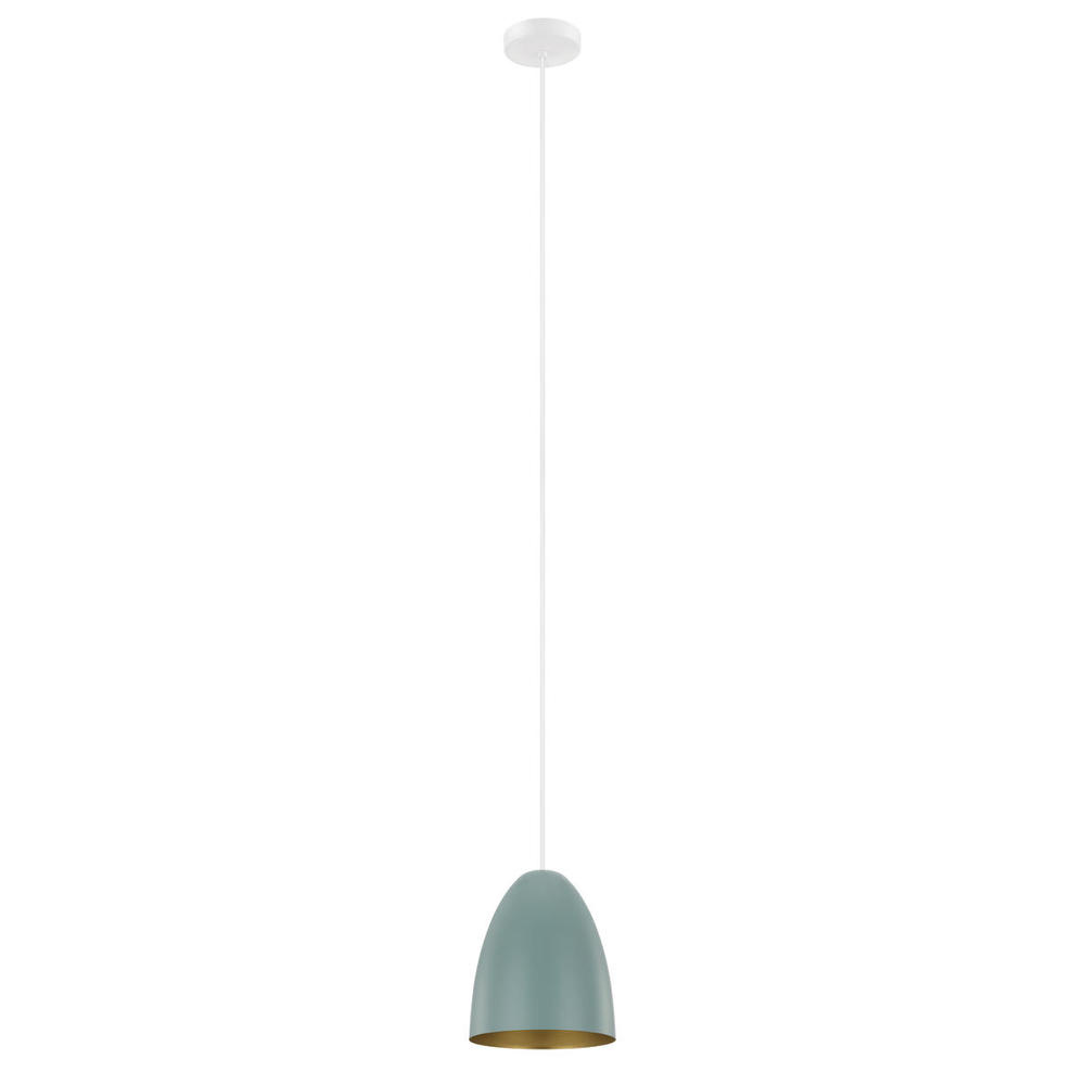 1L Pendant Light / Luminaire suspendu 1L