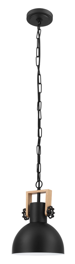 1L Pendant Light / Luminaire suspendu 1L