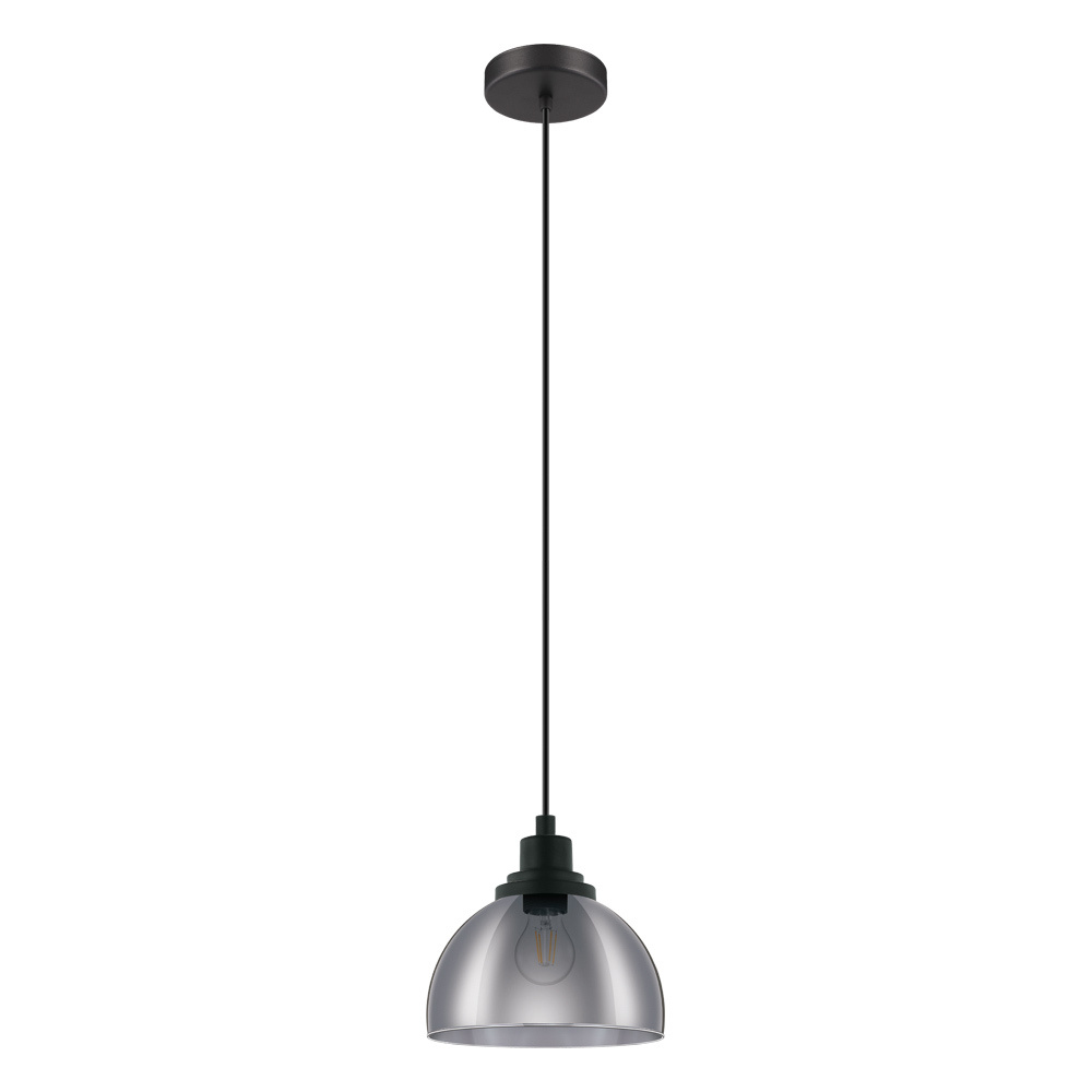 1L Pendant Light / Luminaire suspendu 1L