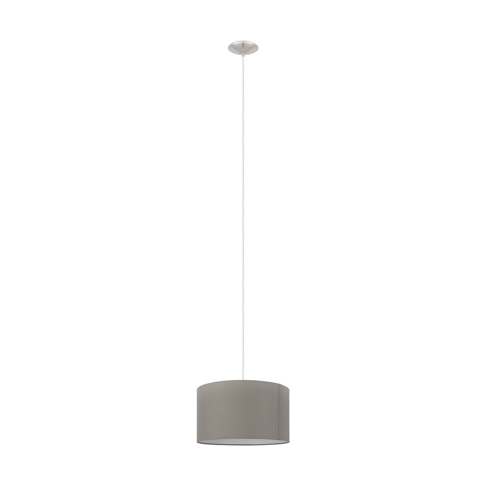 1L Pendant Light / Luminaire suspendu 1L