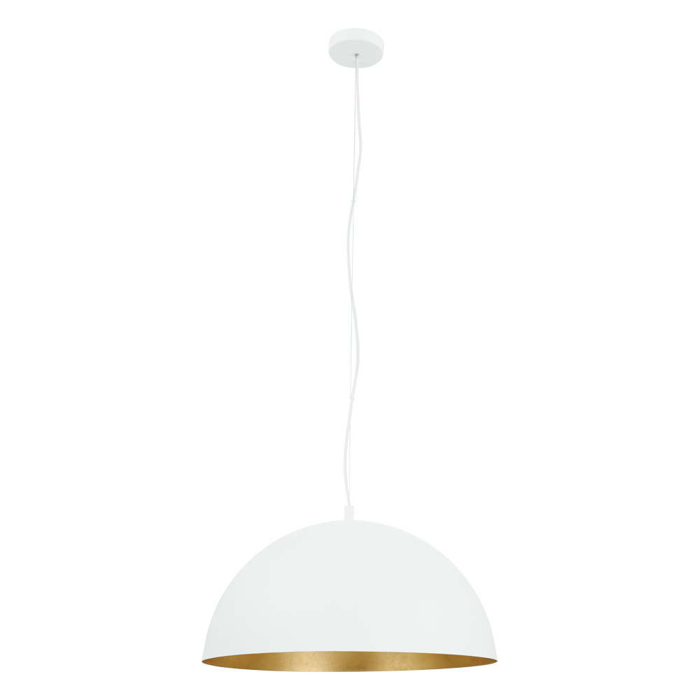 1L Pendant Light / Luminaire suspendu 1L
