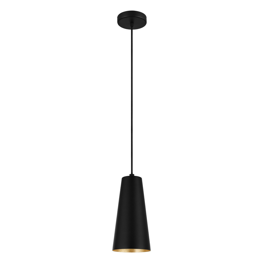 1L Pendant Light / Luminaire suspendu 1L