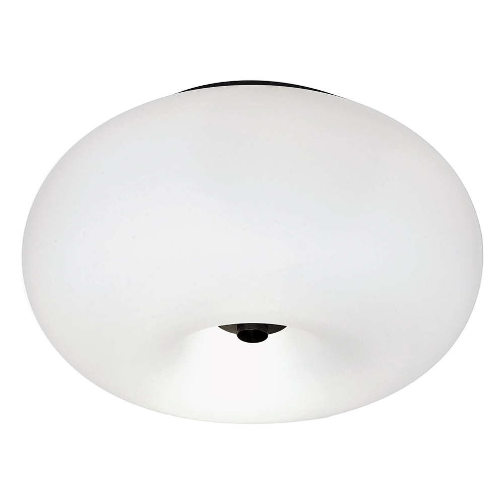 2L Ceiling Light / Plafonnier 2L