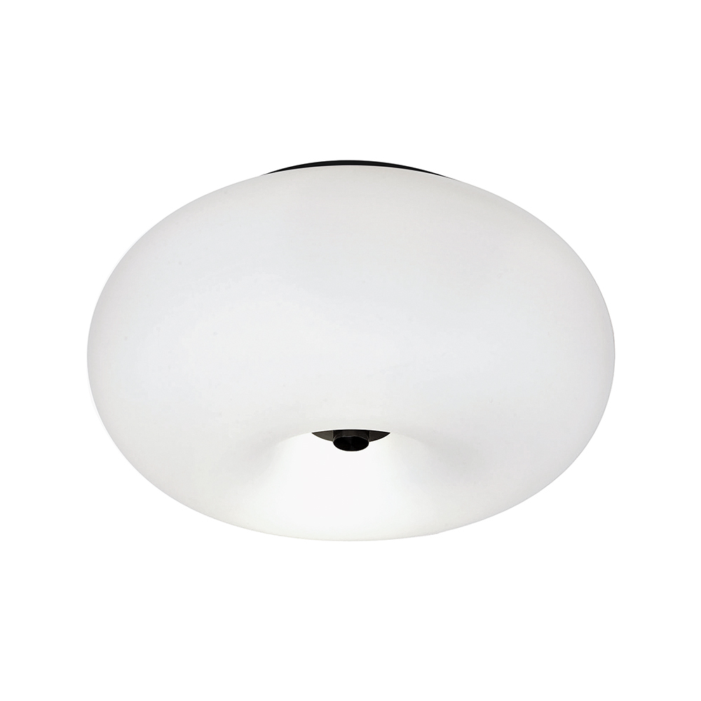 2L Ceiling Light / Plafonnier 2L