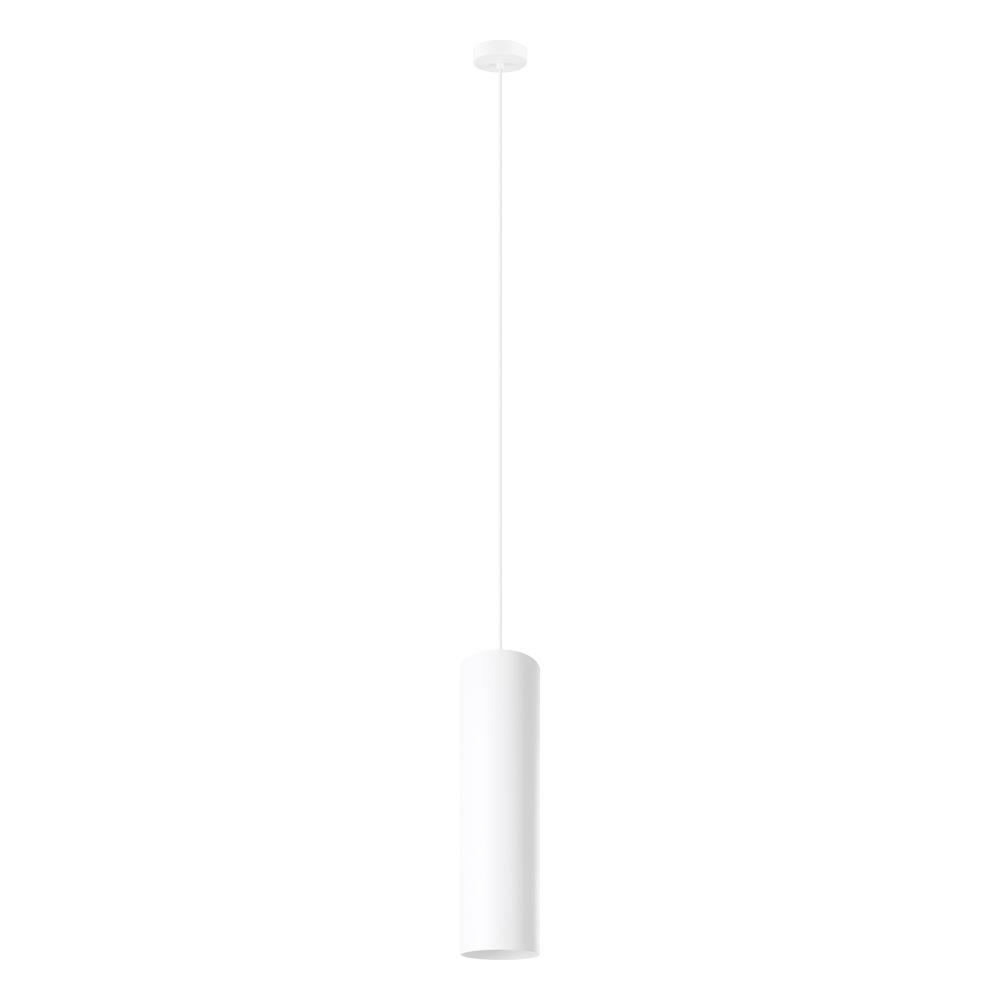 1L Pendant Light / Luminaire suspendu 1L