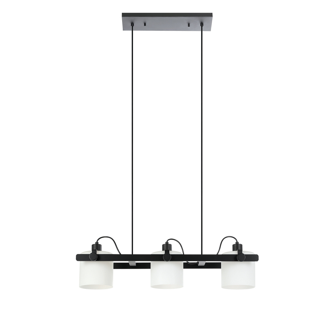 3L Pendant Light / Luminaire suspendu 3L