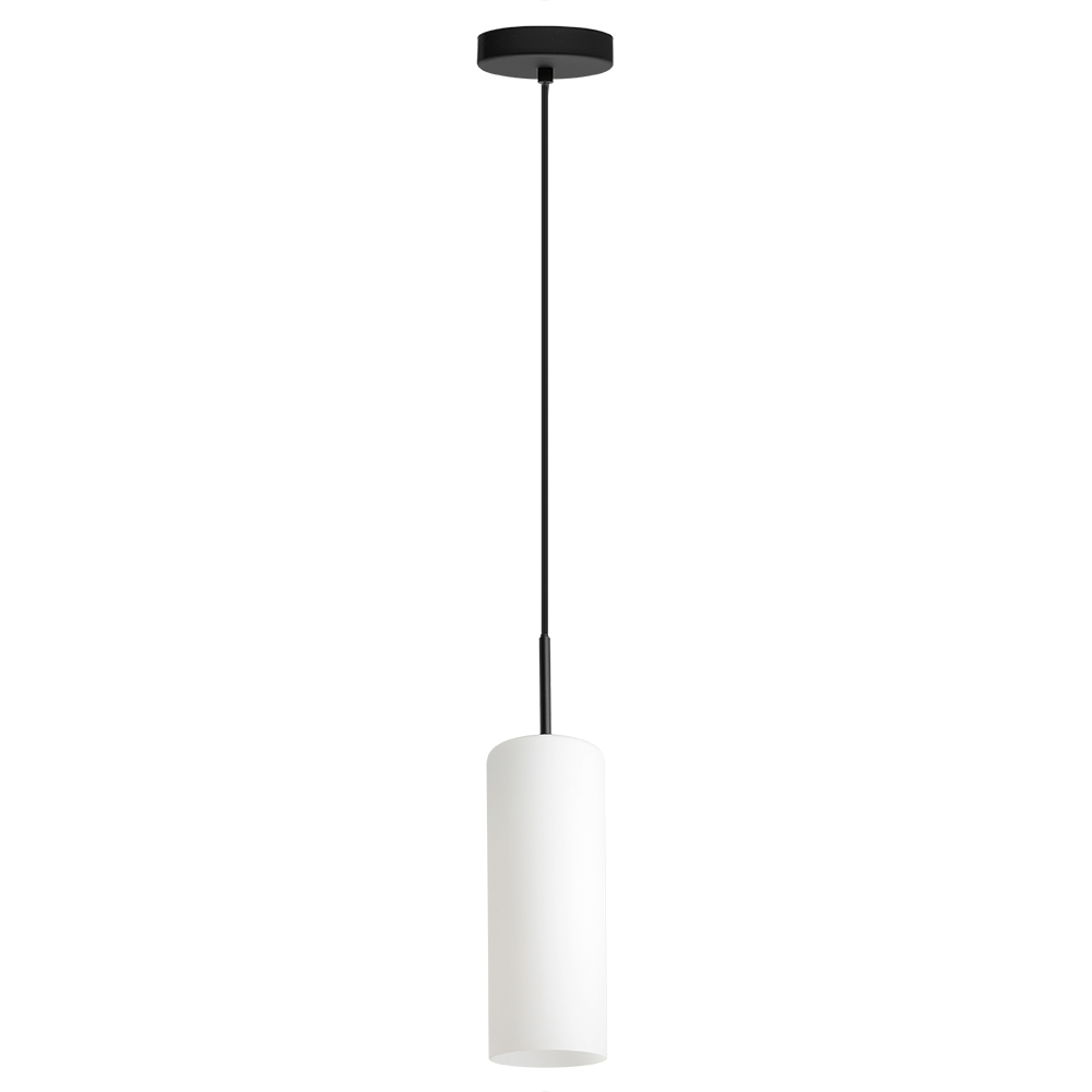1L Pendant Light / Luminaire suspendu 1L
