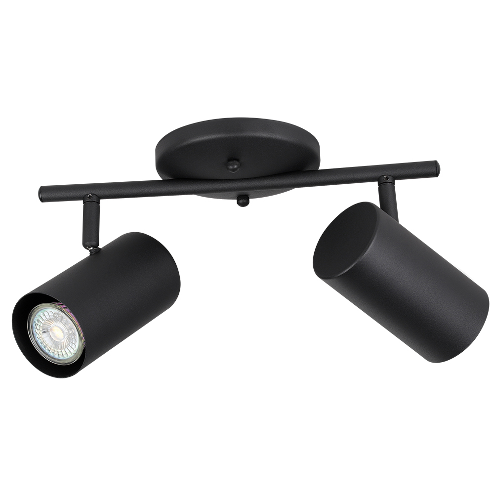 2L Track Light / Luminaire sur rail 2L