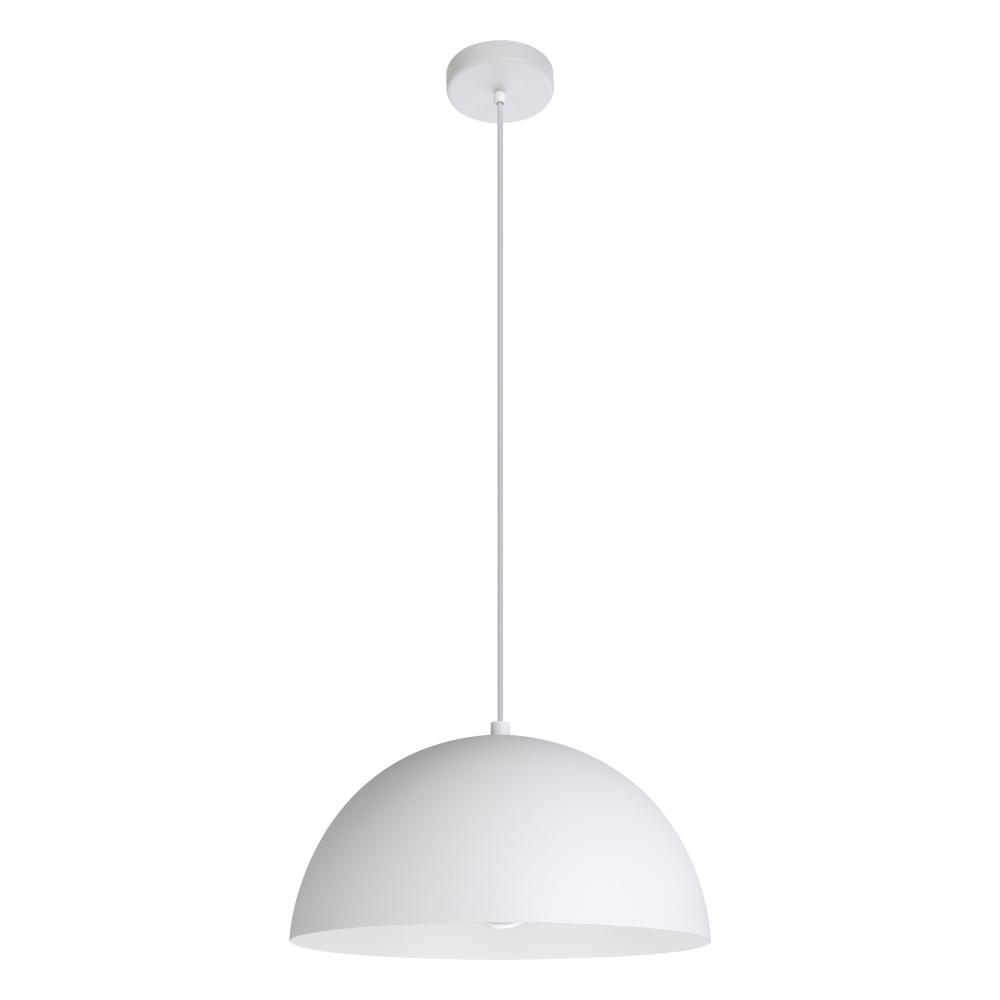 1L Pendant Light / Luminaire suspendu 1L