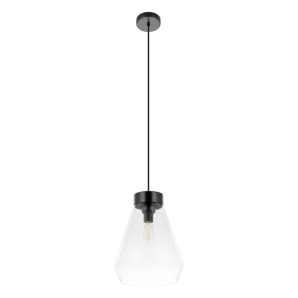 1L Pendant Light / Luminaire suspendu 1L