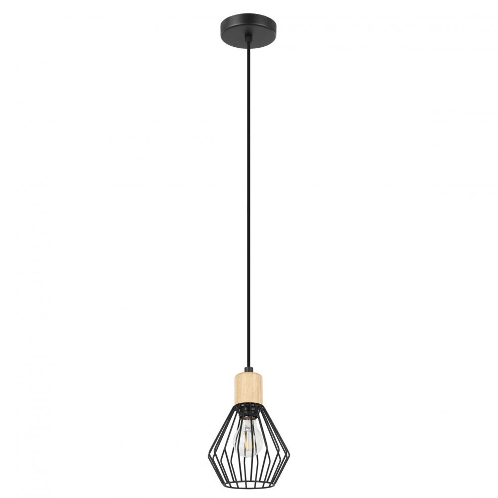 1L Pendant Light / Luminaire suspendu 1L