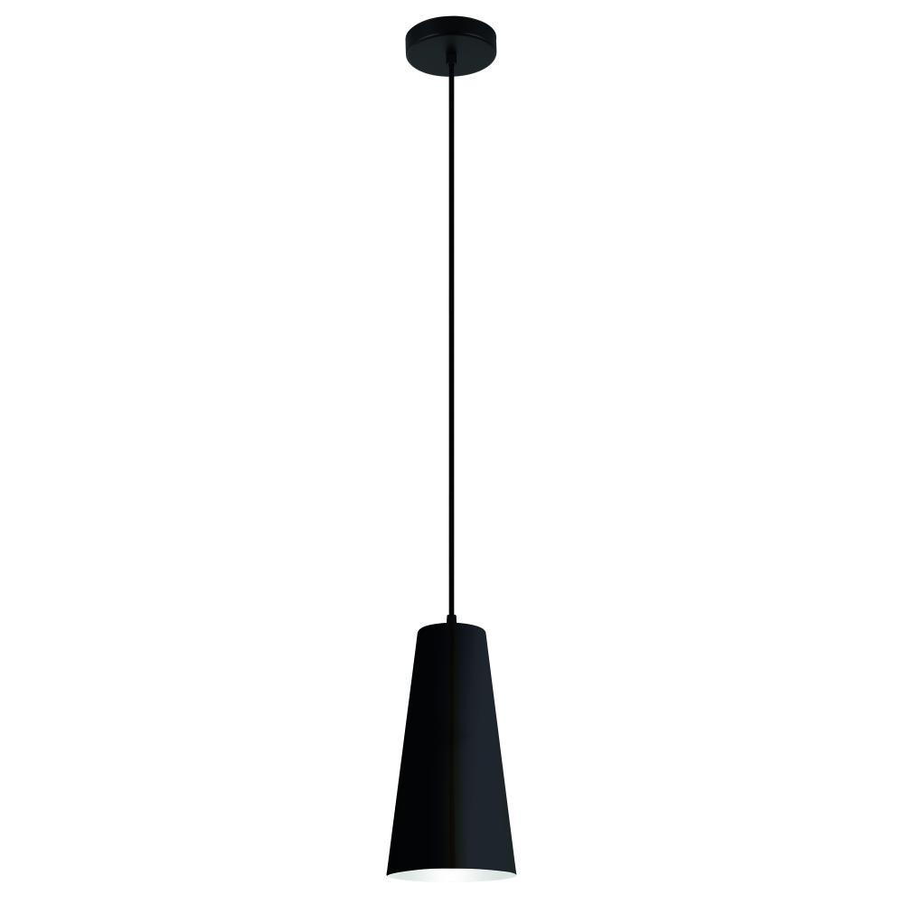1L Pendant Light / Luminaire suspendu 1L