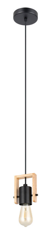 1L Pendant Light / Luminaire suspendu 1L