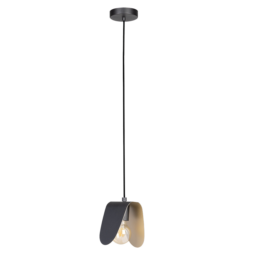 1L Pendant Light / Luminaire suspendu 1L