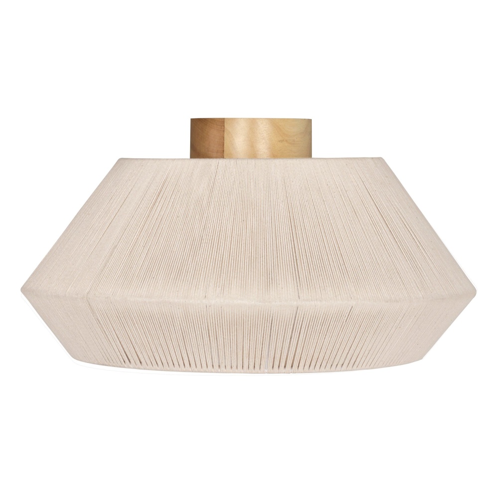 1L Ceiling Light / Plafonnier 1L
