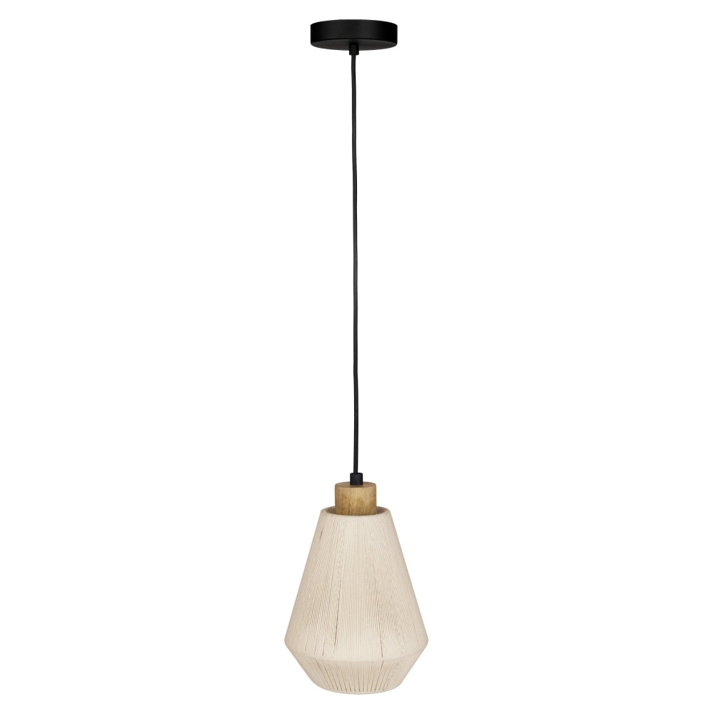 1L Pendant Light / Luminaire suspendu 1L