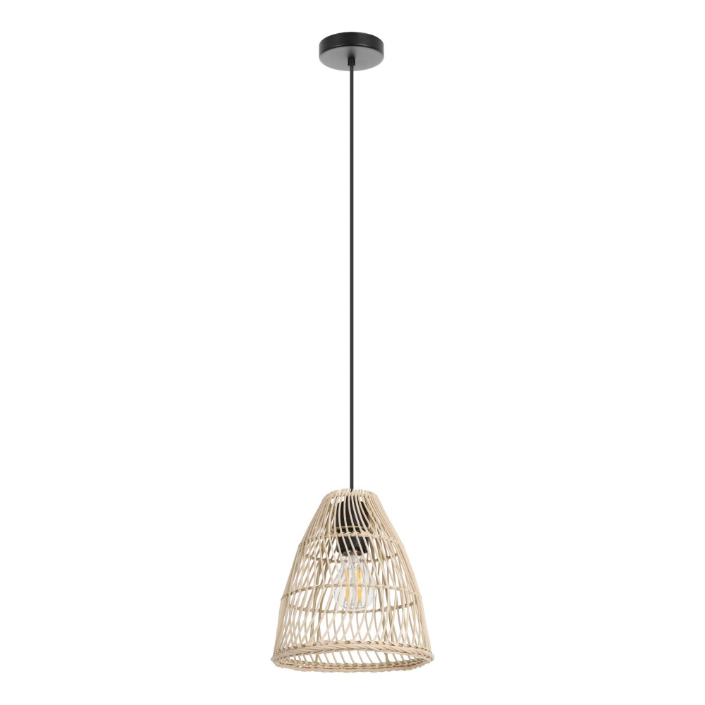 1L Pendant / Luminaire suspendu 1L