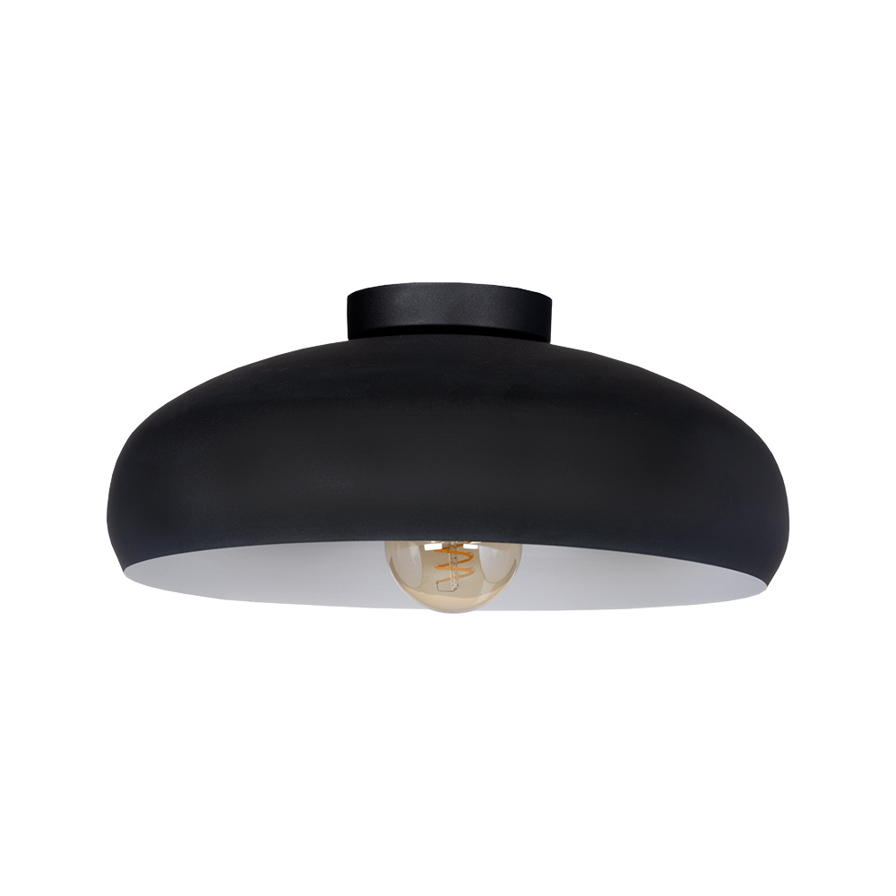 1L Ceiling Light / Plafonnier 1L