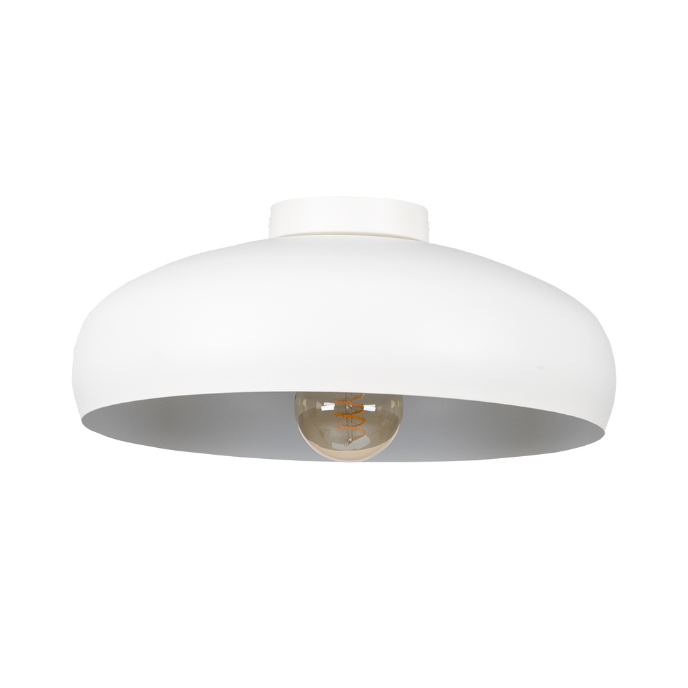 1L Ceiling Light / Plafonnier 1L