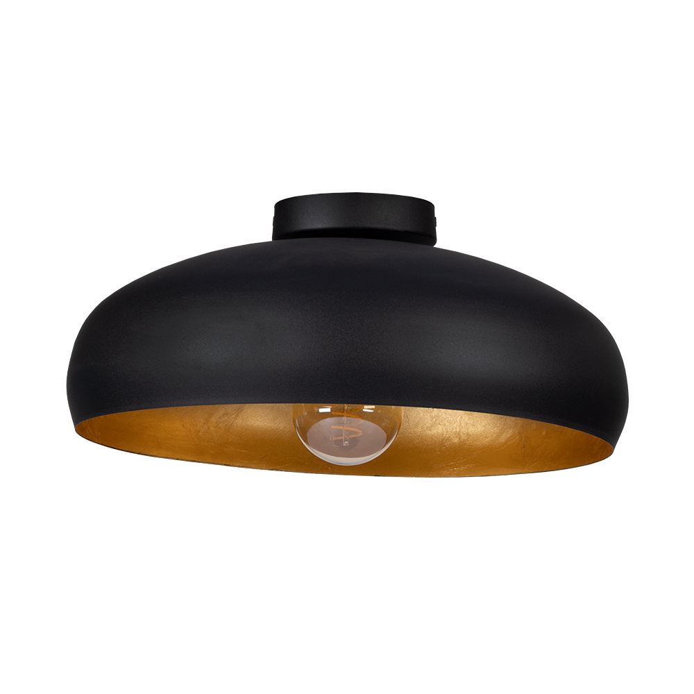 1L Ceiling Light / Plafonnier 1L