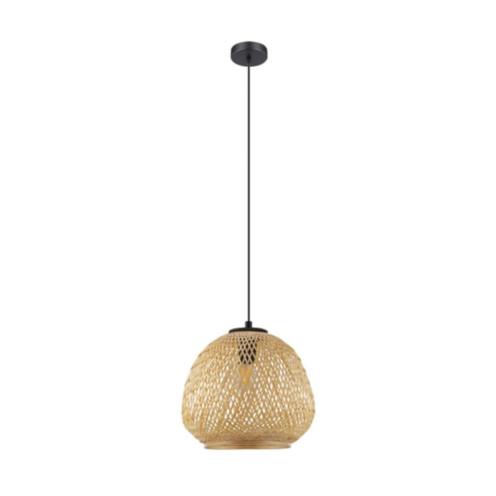 1L Pendant Light / Luminaire suspendu 1L