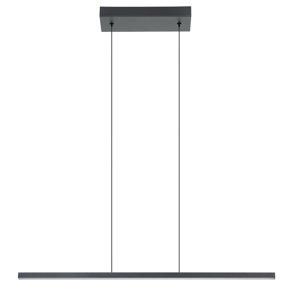 LED Pendant Light / Luminaire suspendu DEL