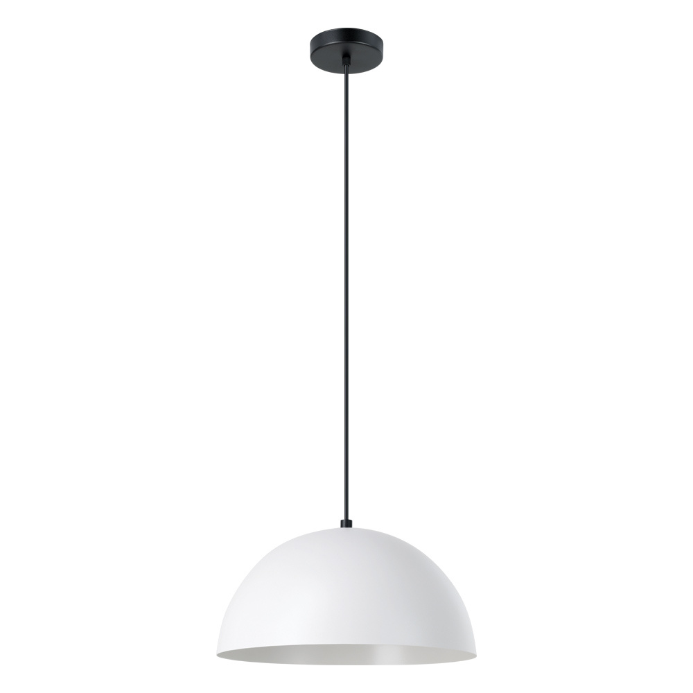 1L Pendant Light / Luminaire suspendu 1L