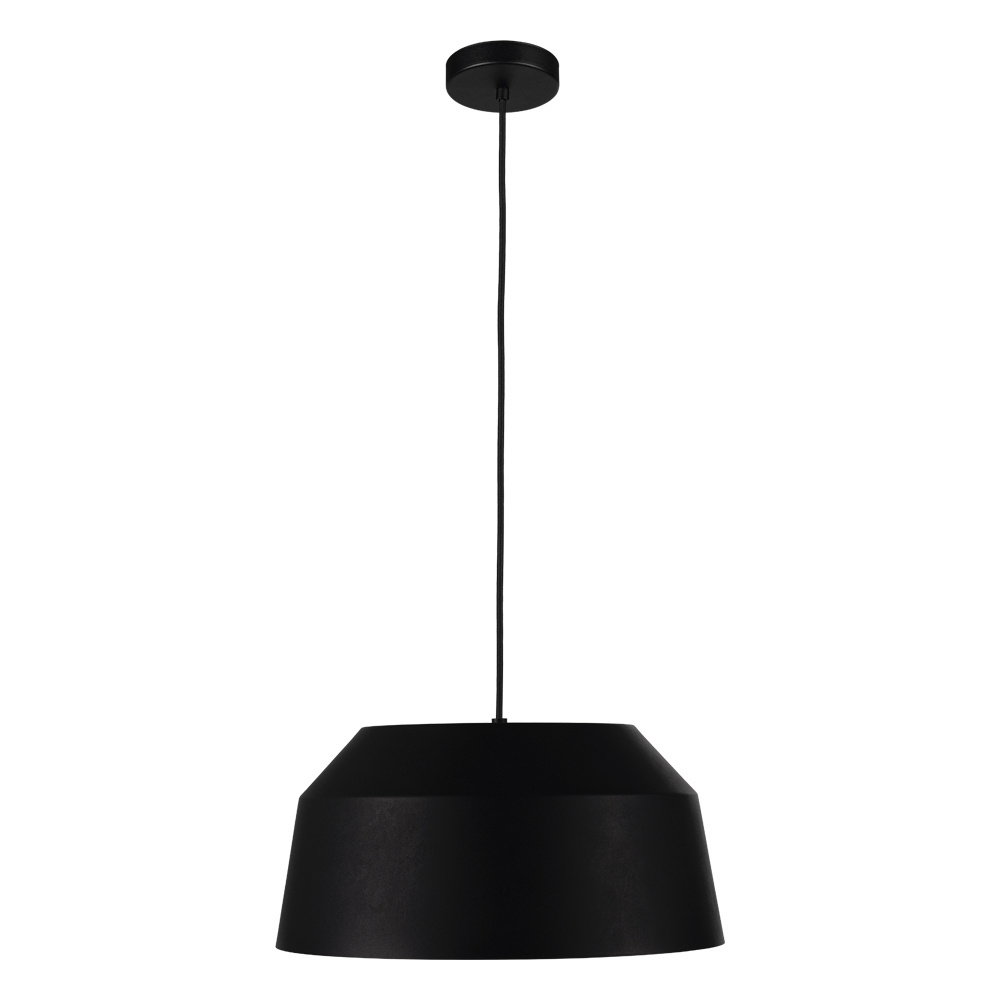 1L Pendant Light / Luminaire suspendu 1L
