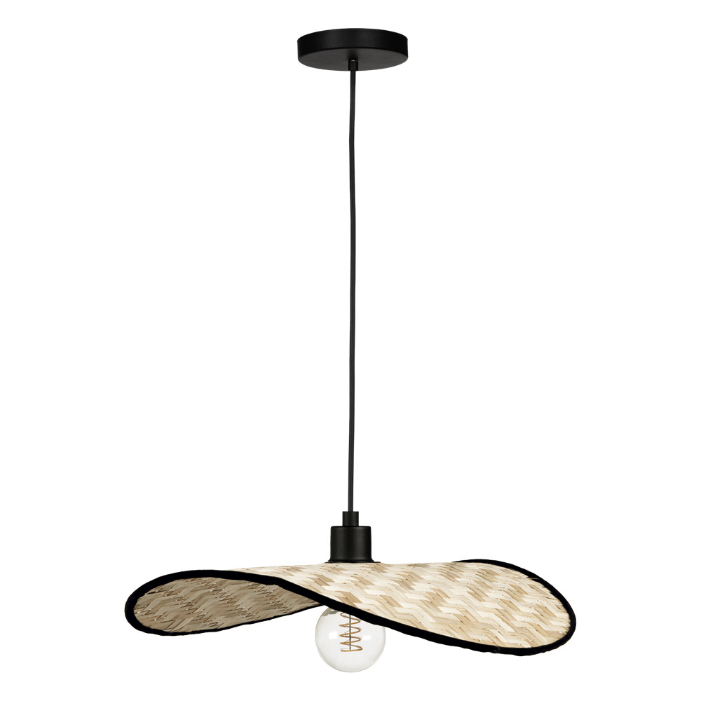 1L Convertible Pendant / Luminaire suspendu convertible 1L