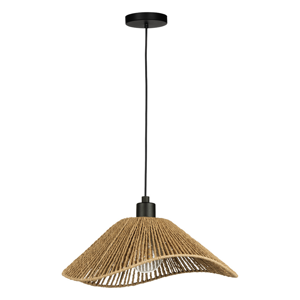 1L Convertible Pendant / Luminaire suspendu convertible 1L