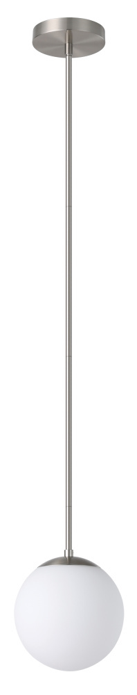 1L Pendant Light / Luminaire suspendu 1L