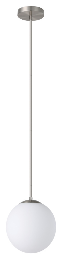 1L Pendant Light / Luminaire suspendu 1L