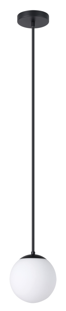 1L Pendant Light / Luminaire suspendu 1L