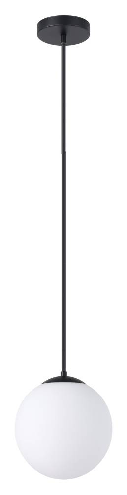 1L Pendant Light / Luminaire suspendu 1L