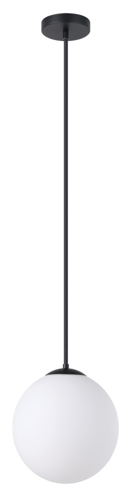 1L Pendant Light / Luminaire suspendu 1L