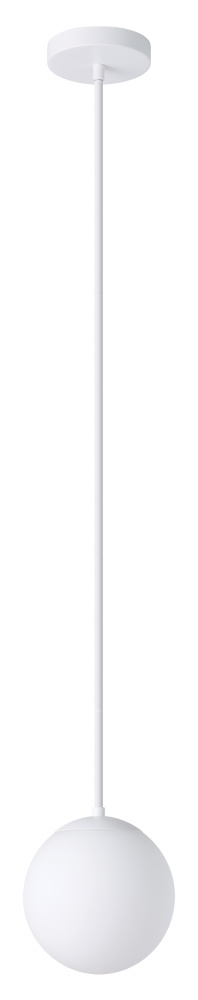 1L Pendant Light / Luminaire suspendu 1L