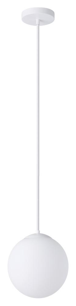 1L Pendant Light / Luminaire suspendu 1L