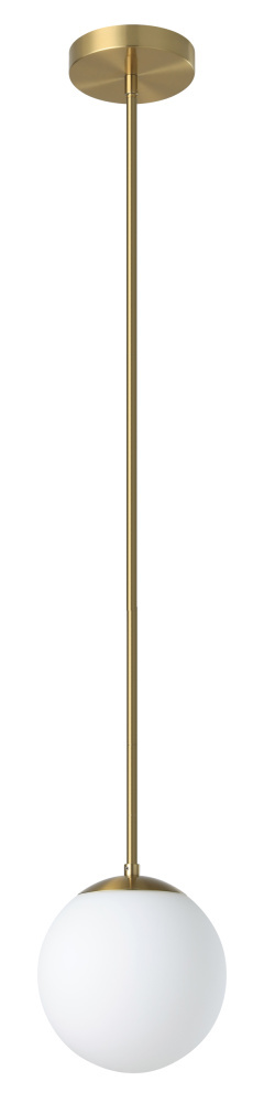 1L Pendant Light / Luminaire suspendu 1L