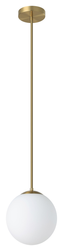 1L Pendant Light / Luminaire suspendu 1L