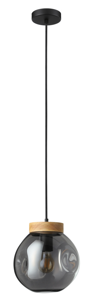 1L Pendant Light / Luminaire suspendu 1L