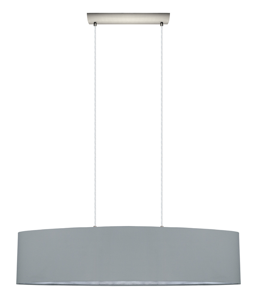 2L Pendant Light / Luminaire suspendu 2L