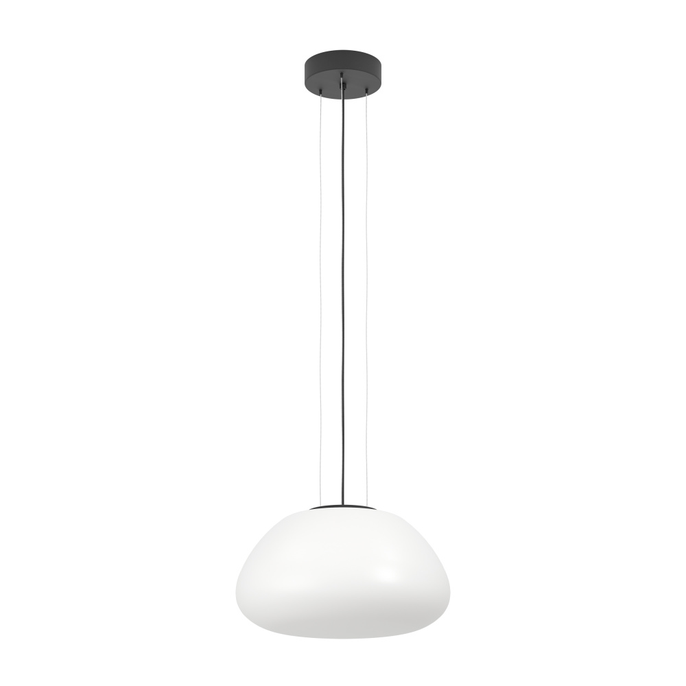 1L Pendant Light / Luminaire suspendu 1L