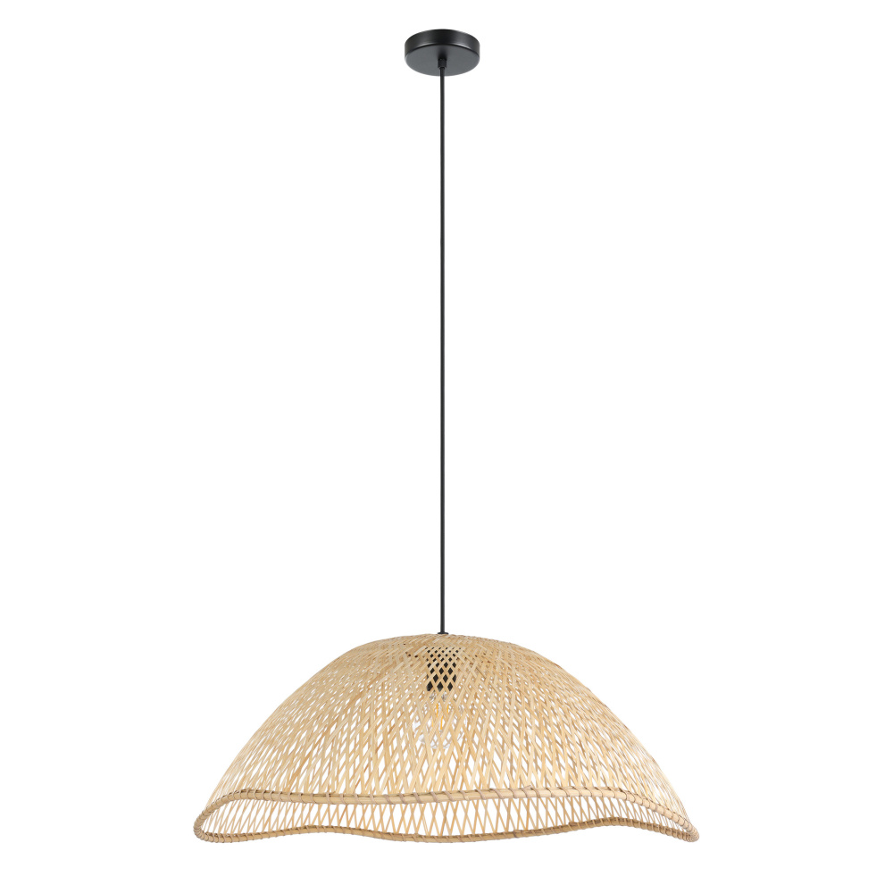 1L Pendant Light / Luminaire suspendu 1L