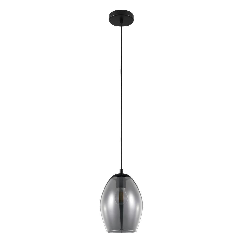 1L Pendant Light / Luminaire suspendu 1L