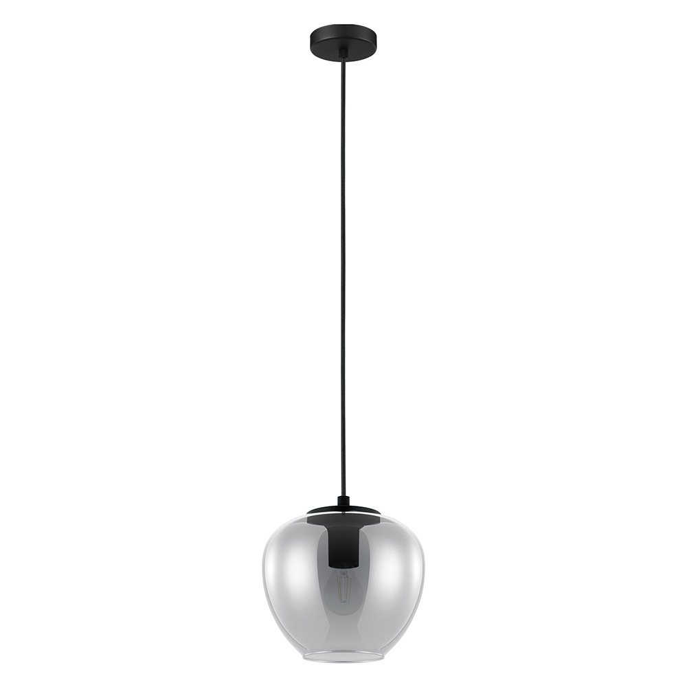 1L Pendant Light / Luminaire suspendu 1L