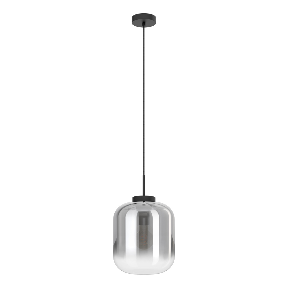 1L Pendant Light / Luminaire suspendu 1L