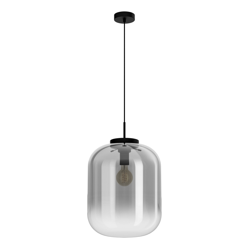 1L Pendant Light / Luminaire suspendu 1L
