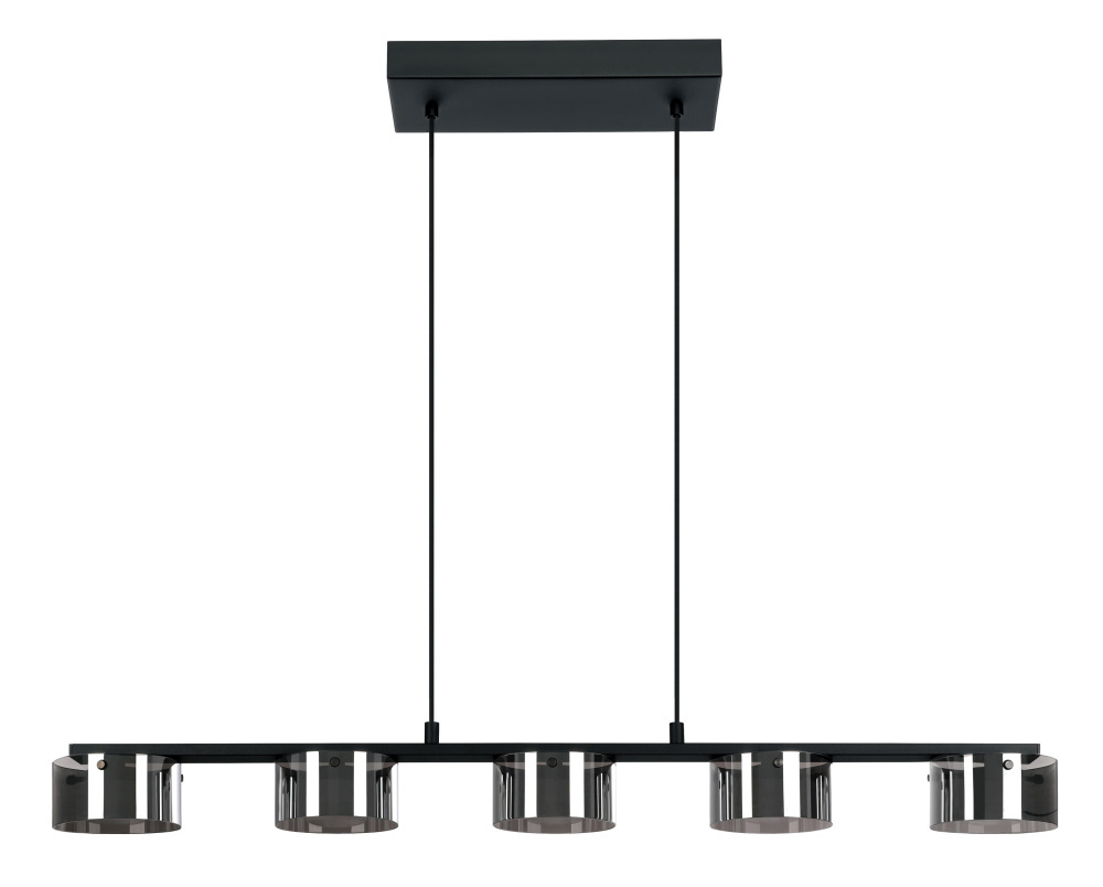 5L LED Pendant Light / Luminaire suspendu DEL 5L